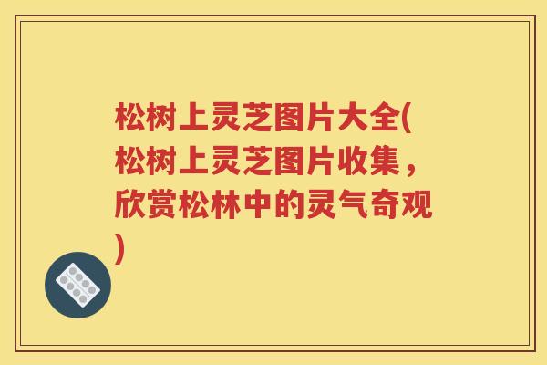 松树上灵芝图片大全(松树上灵芝图片收集，欣赏松林中的灵气奇观)