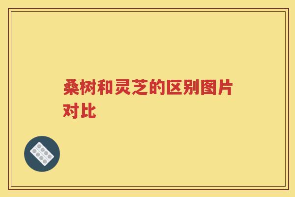 桑树和灵芝的区别图片对比