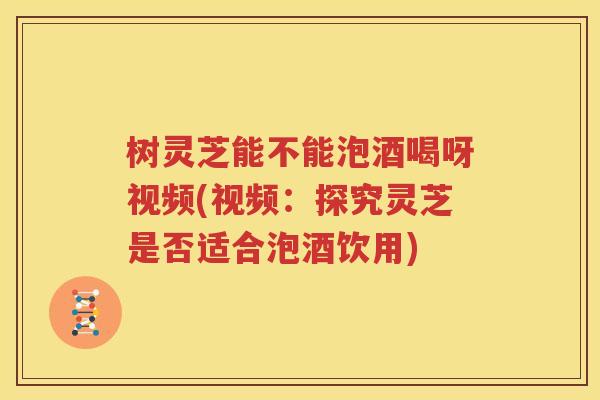 树灵芝能不能泡酒喝呀视频(视频：探究灵芝是否适合泡酒饮用)