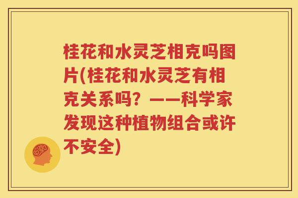 桂花和水灵芝相克吗图片(桂花和水灵芝有相克关系吗？——科学家发现这种植物组合或许不安全)