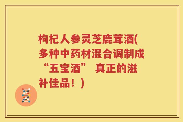 枸杞人参灵芝鹿茸酒(多种中药材混合调制成“五宝酒” 真正的滋补佳品！)