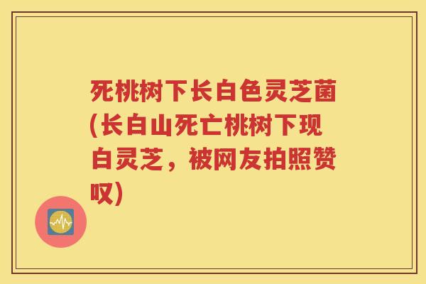 死桃树下长白色灵芝菌(长白山死亡桃树下现白灵芝，被网友拍照赞叹)