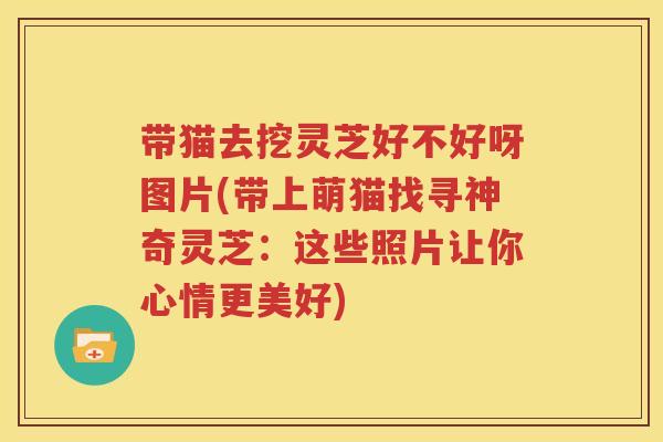 带猫去挖灵芝好不好呀图片(带上萌猫找寻神奇灵芝：这些照片让你心情更美好)