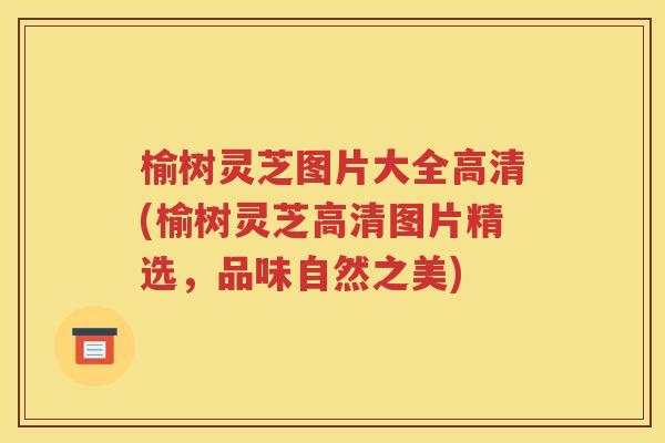 榆树灵芝图片大全高清(榆树灵芝高清图片精选，品味自然之美)