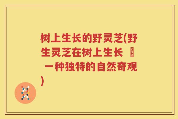 树上生长的野灵芝(野生灵芝在树上生长 – 一种独特的自然奇观)