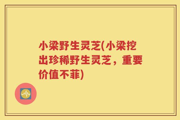 小梁野生灵芝(小梁挖出珍稀野生灵芝，重要价值不菲)
