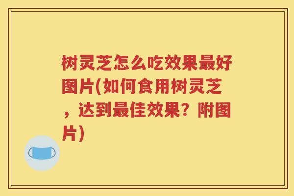 树灵芝怎么吃效果最好图片(如何食用树灵芝，达到最佳效果？附图片)