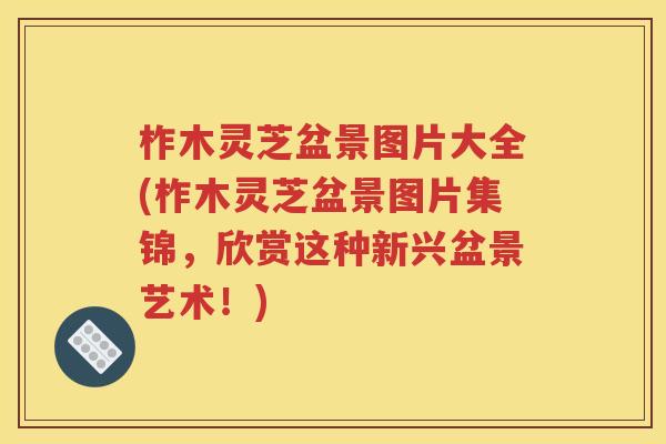 柞木灵芝盆景图片大全(柞木灵芝盆景图片集锦，欣赏这种新兴盆景艺术！)