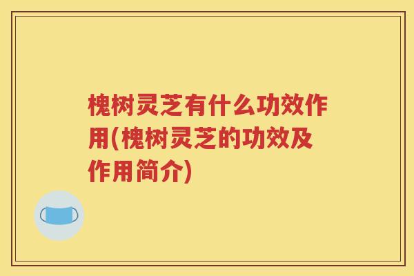 槐树灵芝有什么功效作用(槐树灵芝的功效及作用简介)