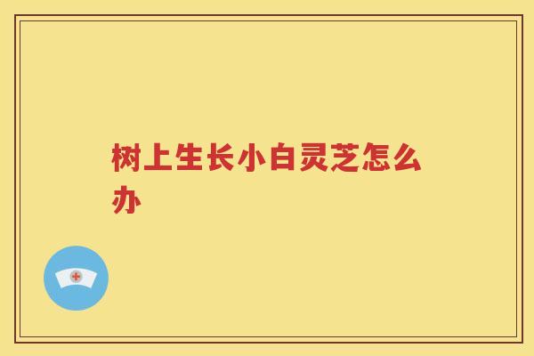 树上生长小白灵芝怎么办