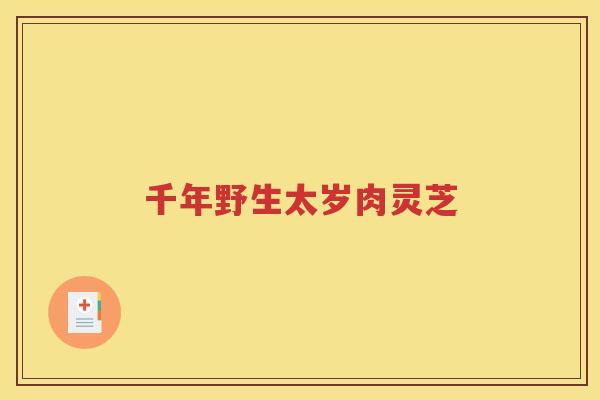 千年野生太岁肉灵芝