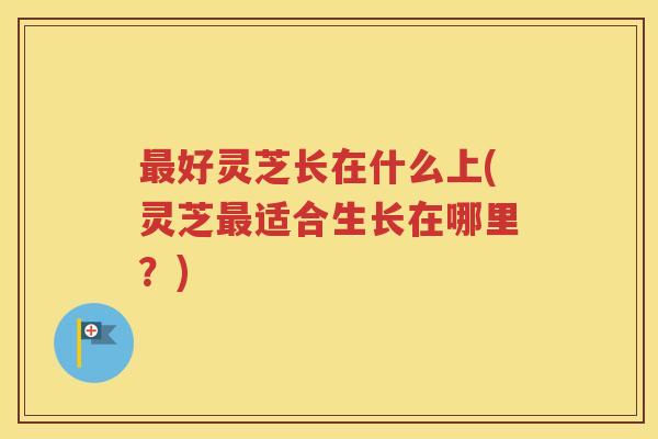 最好灵芝长在什么上(灵芝最适合生长在哪里？)