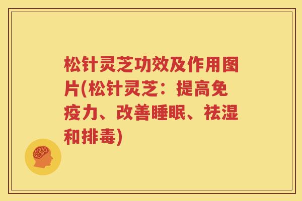松针灵芝功效及作用图片(松针灵芝：提高免疫力、改善睡眠、祛湿和排毒)
