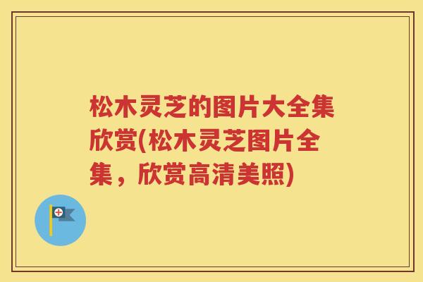 松木灵芝的图片大全集欣赏(松木灵芝图片全集，欣赏高清美照)
