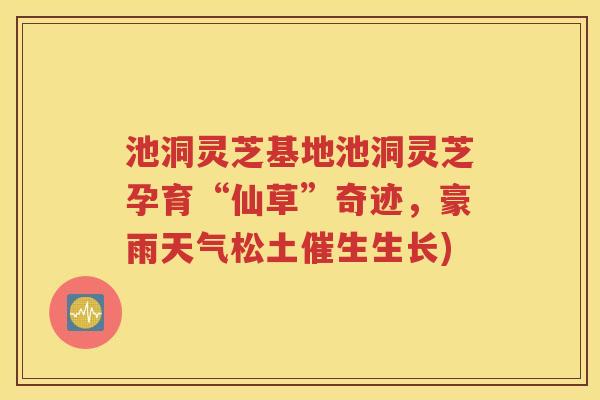 池洞灵芝基地池洞灵芝孕育“仙草”奇迹，豪雨天气松土催生生长)