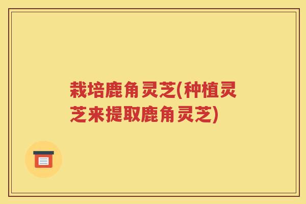 栽培鹿角灵芝(种植灵芝来提取鹿角灵芝)