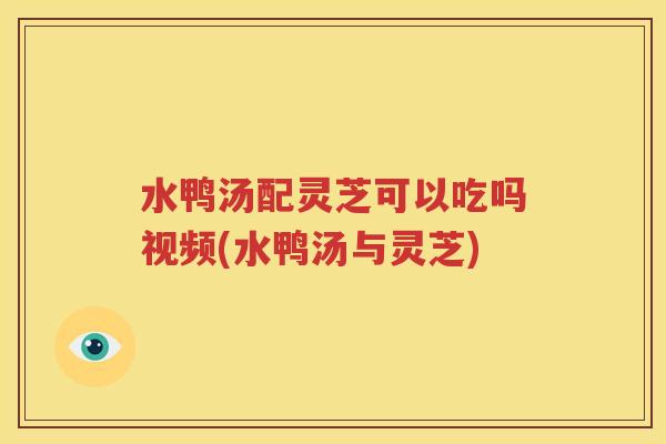 水鸭汤配灵芝可以吃吗视频(水鸭汤与灵芝)