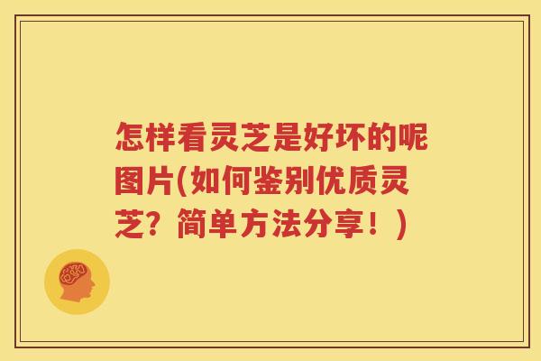 怎样看灵芝是好坏的呢图片(如何鉴别优质灵芝？简单方法分享！)
