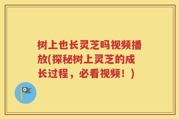 树上也长灵芝吗视频播放(探秘树上灵芝的成长过程，必看视频！)