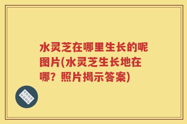 水灵芝在哪里生长的呢图片(水灵芝生长地在哪？照片揭示答案)