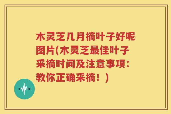 木灵芝几月摘叶子好呢图片(木灵芝最佳叶子采摘时间及注意事项：教你正确采摘！)