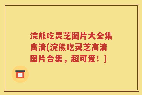 浣熊吃灵芝图片大全集高清(浣熊吃灵芝高清图片合集，超可爱！)