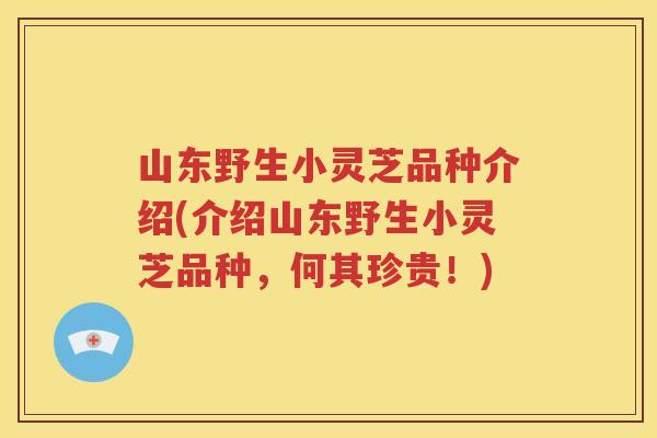 山东野生小灵芝品种介绍(介绍山东野生小灵芝品种，何其珍贵！)
