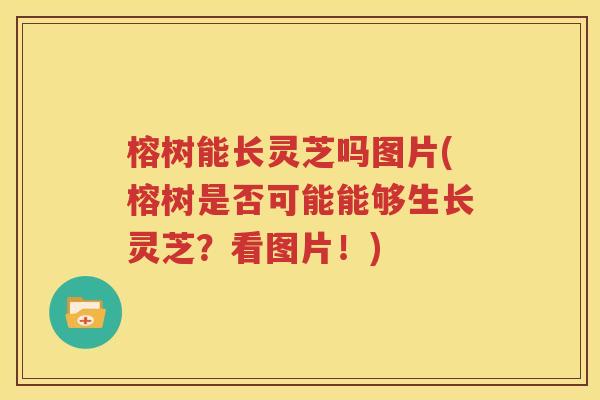 榕树能长灵芝吗图片(榕树是否可能能够生长灵芝？看图片！)