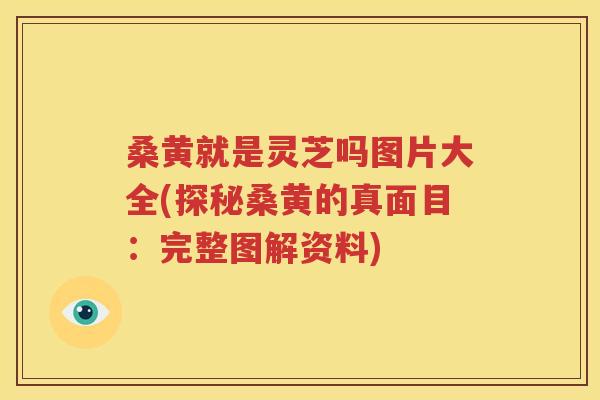 桑黄就是灵芝吗图片大全(探秘桑黄的真面目：完整图解资料)