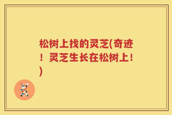 松树上找的灵芝(奇迹！灵芝生长在松树上！)