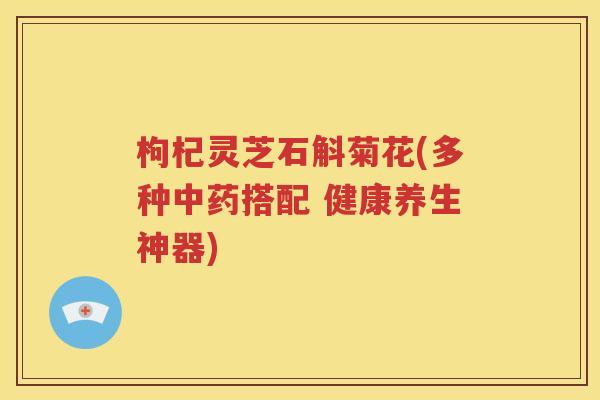 枸杞灵芝石斛菊花(多种中药搭配 健康养生神器)