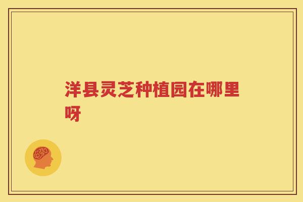 洋县灵芝种植园在哪里呀