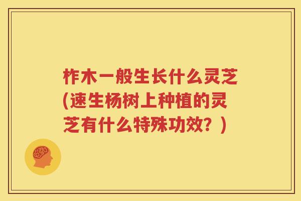 柞木一般生长什么灵芝(速生杨树上种植的灵芝有什么特殊功效？)