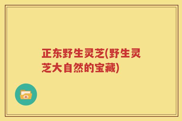 正东野生灵芝(野生灵芝大自然的宝藏)