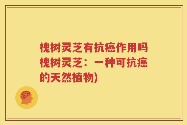 槐树灵芝有抗癌作用吗槐树灵芝：一种可抗癌的天然植物)