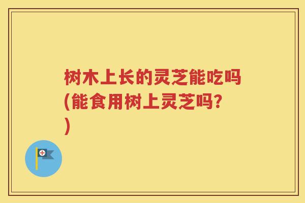 树木上长的灵芝能吃吗(能食用树上灵芝吗？)