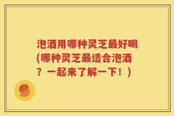 泡酒用哪种灵芝最好喝(哪种灵芝最适合泡酒？一起来了解一下！)