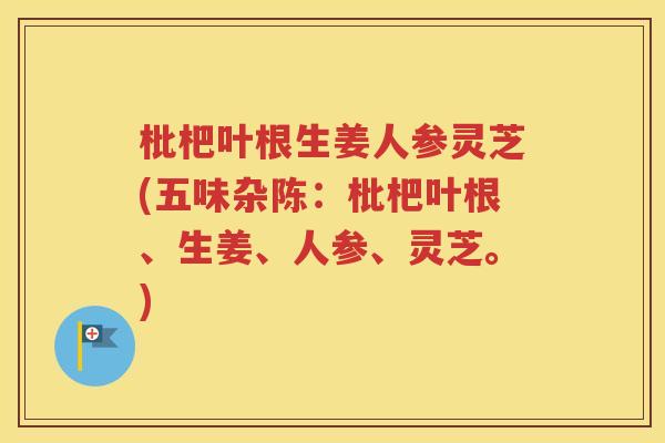 枇杷叶根生姜人参灵芝(五味杂陈：枇杷叶根、生姜、人参、灵芝。)
