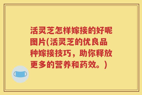 活灵芝怎样嫁接的好呢图片(活灵芝的优良品种嫁接技巧，助你释放更多的营养和药效。)