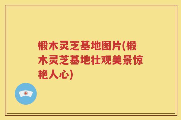 椴木灵芝基地图片(椴木灵芝基地壮观美景惊艳人心)