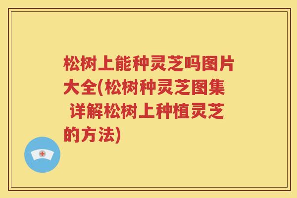 松树上能种灵芝吗图片大全(松树种灵芝图集 详解松树上种植灵芝的方法)