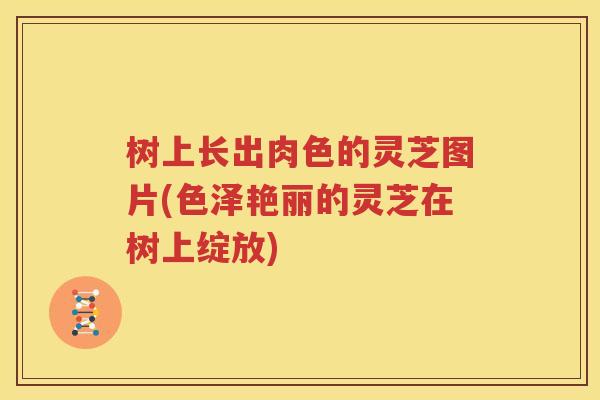 树上长出肉色的灵芝图片(色泽艳丽的灵芝在树上绽放)