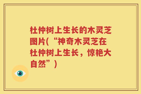 杜仲树上生长的木灵芝图片(“神奇木灵芝在杜仲树上生长，惊艳大自然”)