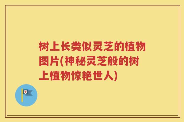 树上长类似灵芝的植物图片(神秘灵芝般的树上植物惊艳世人)