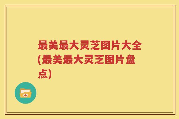 最美最大灵芝图片大全(最美最大灵芝图片盘点)