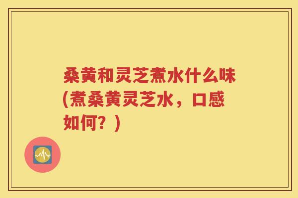 桑黄和灵芝煮水什么味(煮桑黄灵芝水，口感如何？)