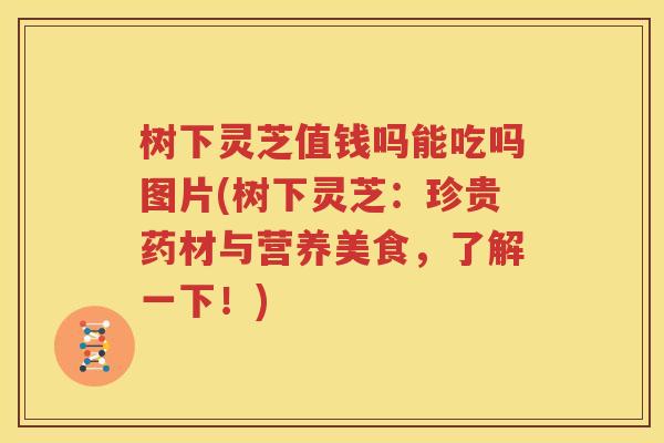 树下灵芝值钱吗能吃吗图片(树下灵芝：珍贵药材与营养美食，了解一下！)