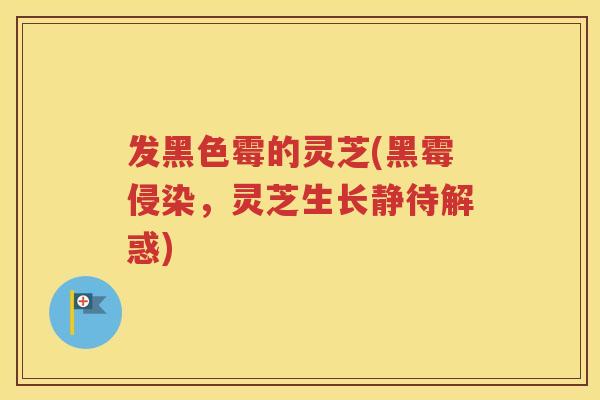 发黑色霉的灵芝(黑霉侵染，灵芝生长静待解惑)