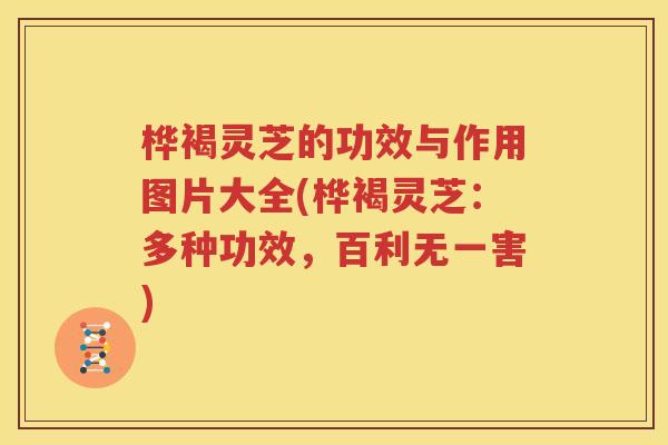 桦褐灵芝的功效与作用图片大全(桦褐灵芝：多种功效，百利无一害)