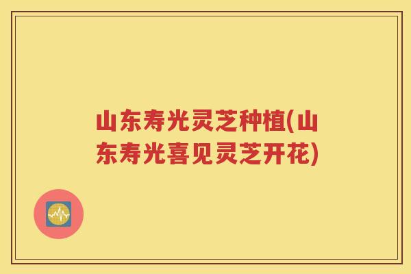 山东寿光灵芝种植(山东寿光喜见灵芝开花)